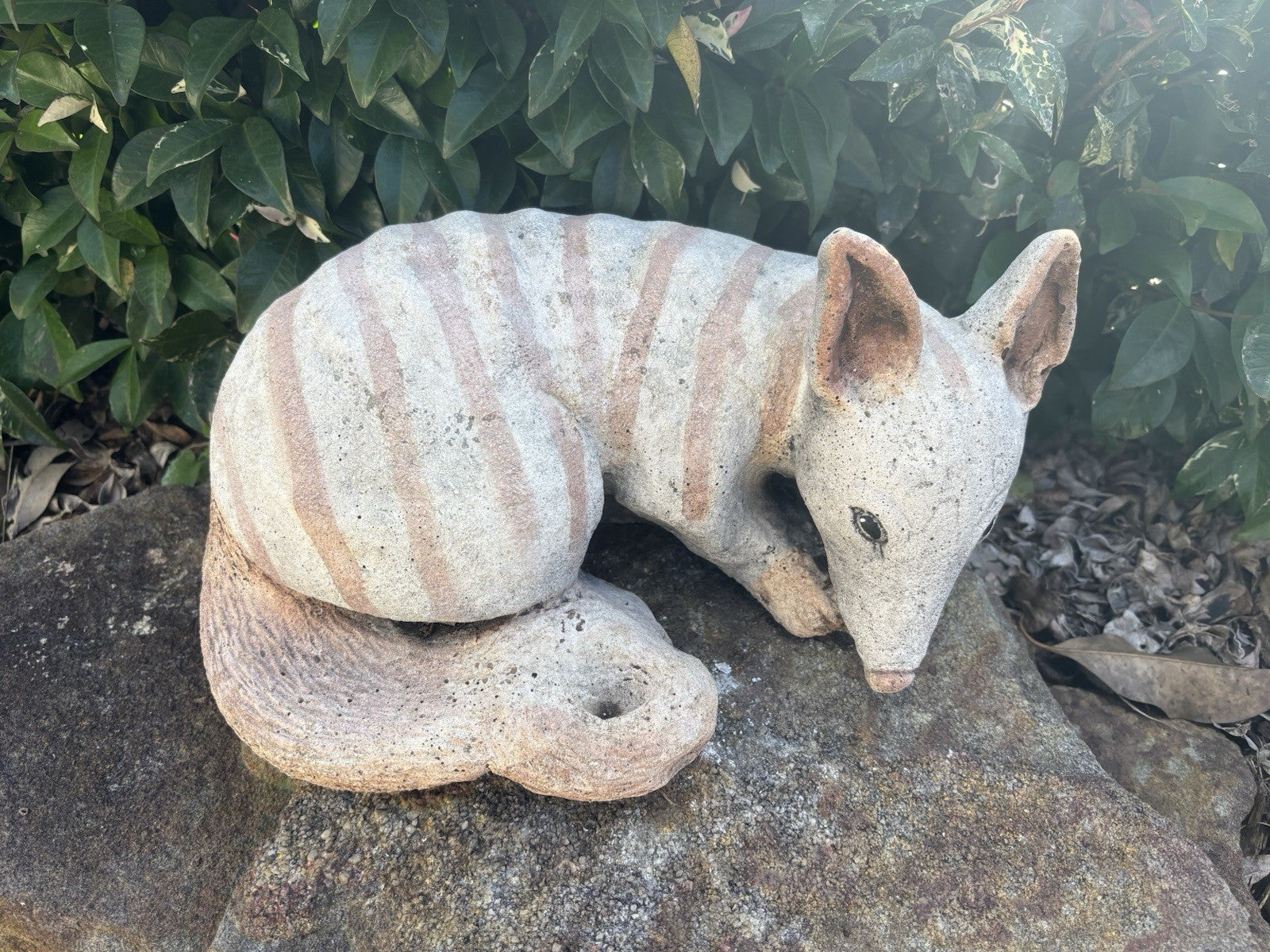 Australian Made Concrete Numbat Garden Statue | Outdoor Native Wildlife Ornament