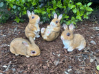SET OF 4 RABBIT BUNNY ANIMAL GARDEN STATUE ORNAMENT FIGURINE BROWN WHITE