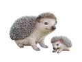 PORCUPINE WITH BABY ANIMAL GARDEN STATUE ORNAMENT FIGURINE