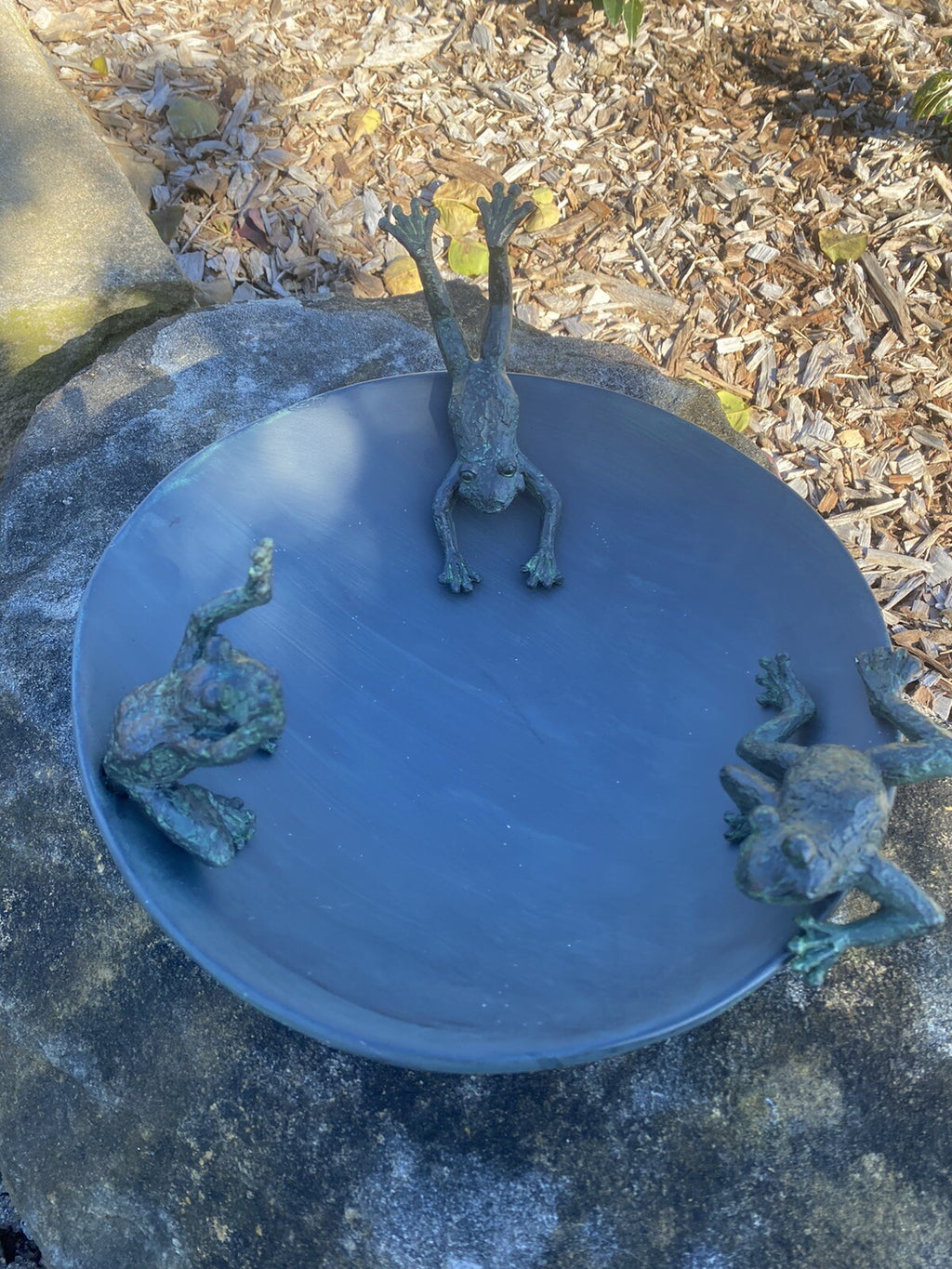 Frog Design Bird Bath Bee Water Station Wild Bird Garden Statue Ornament
