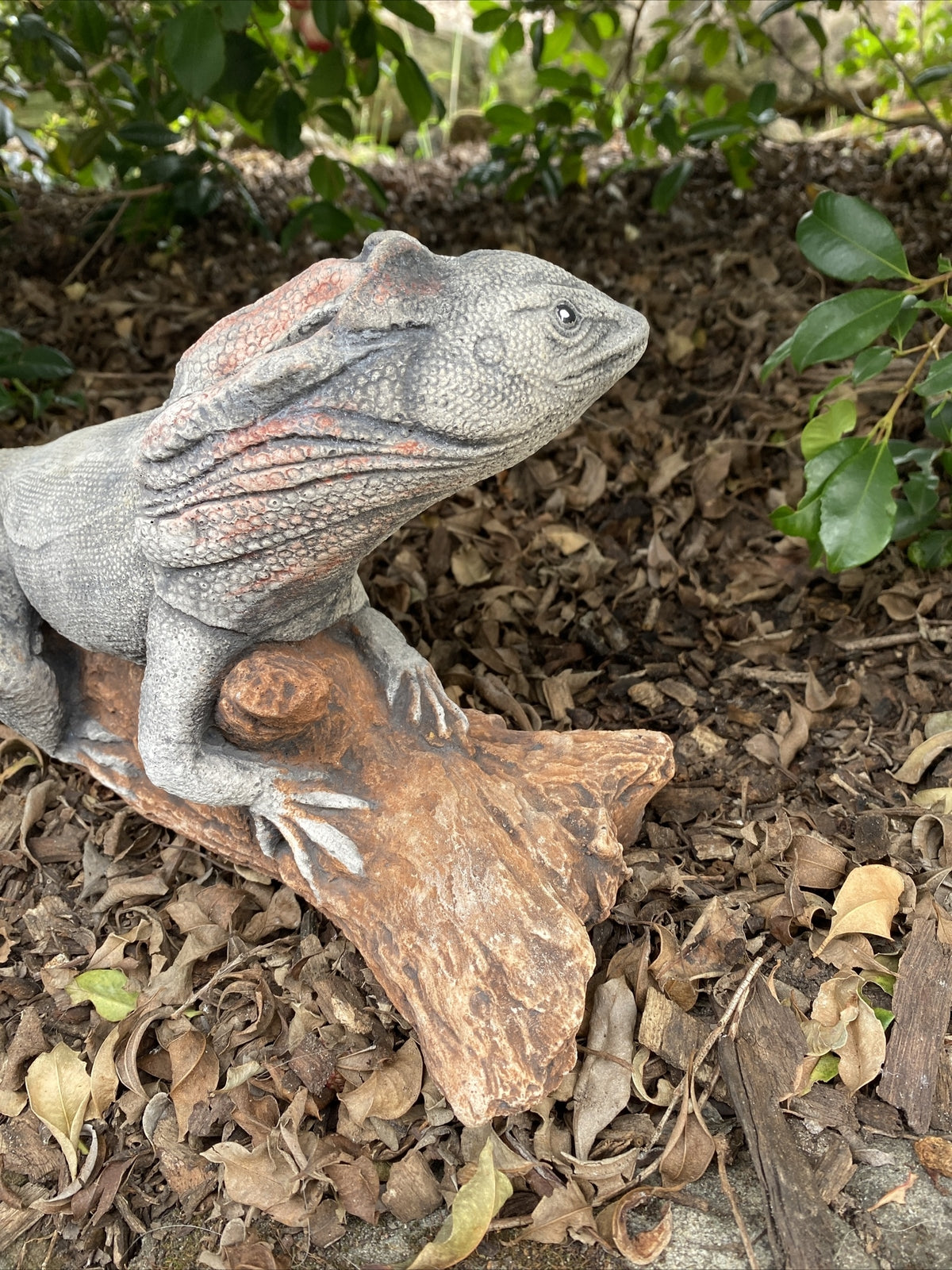 Frill Neck Lizard Statue Ornament Animal Concrete Garden Australian Made Large