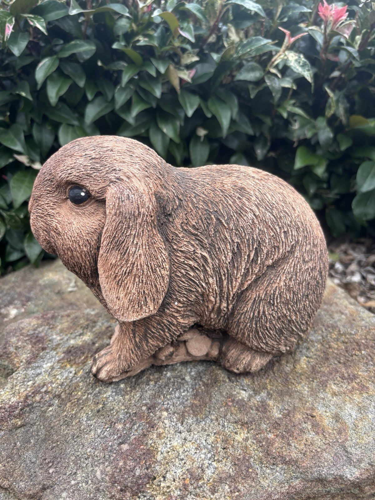 Australian Made Concrete Mini Lop Rabbit Garden Statue – Outdoor Garden Ornament