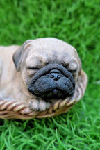 Brown Dog Puppy Pug Asleep In Basket Ornament ~ Statue ~Home Decor