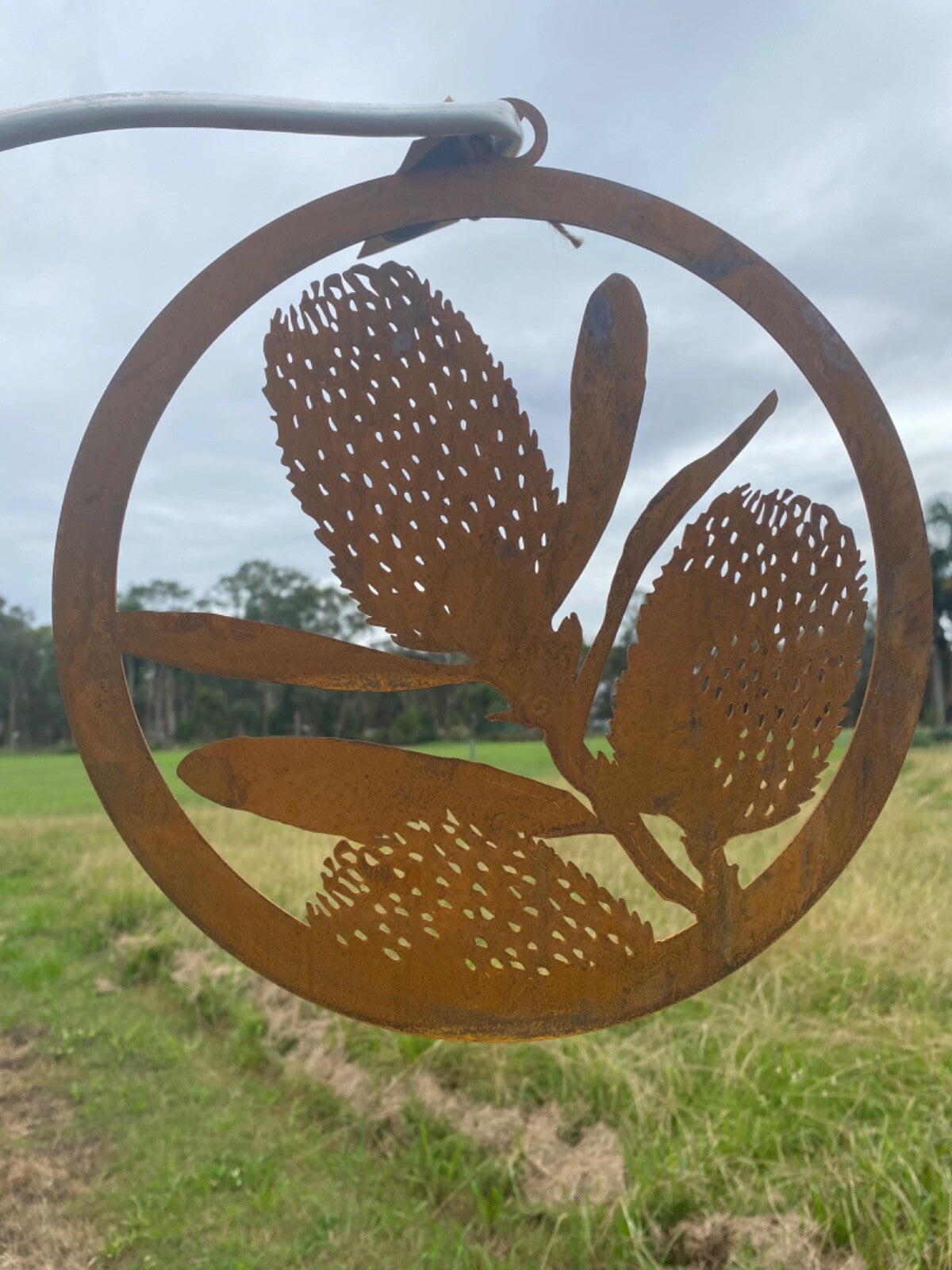 Australian Native Banksia Flower Round Rust Corten Steel Metal Hanging 28 cm