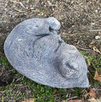 Australian Wombat Asleep Statue Ornament Animal Concrete Garden Australian Made