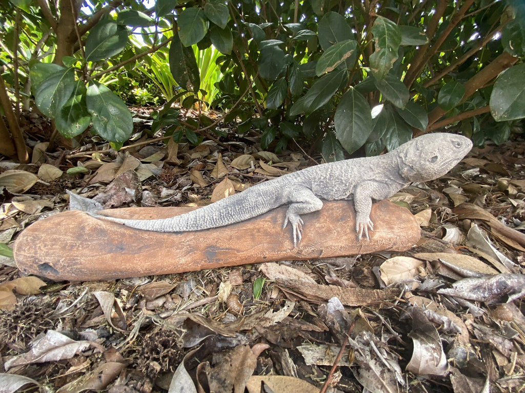 Bearded Dragon Lizard Statue Ornament Animal Concrete Garden Australian Made