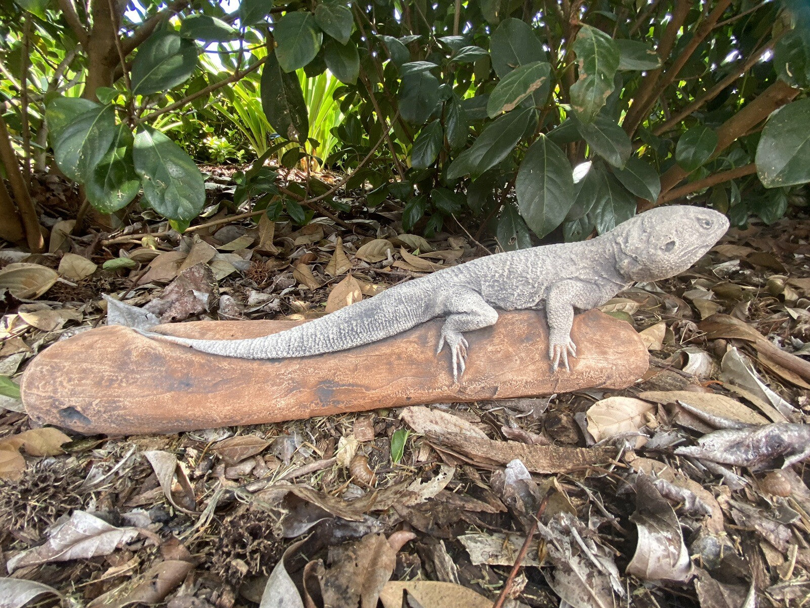 Bearded Dragon Lizard Statue Ornament Animal Concrete Garden Australian Made