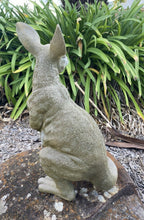 KANGAROO WITH JOEY ANIMAL GARDEN STATUE ORNAMENT SCULPTURE HOME DECOR 55cm