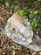 Australian Native Platypus Animal Concrete Cement Garden Statue Australian Made