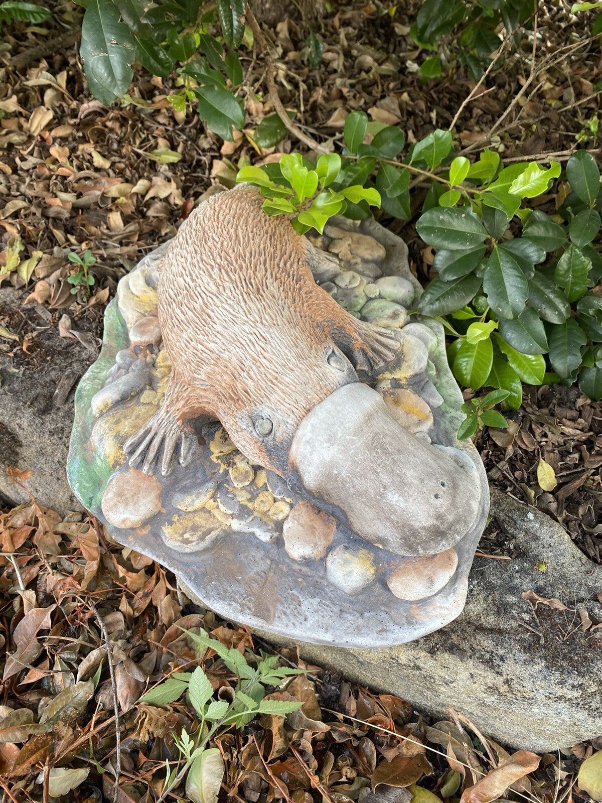 Australian Native Platypus Animal Concrete Cement Garden Statue Australian Made