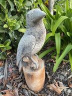 Magpie on Stump Bird Statue Ornament Animal Concrete Garden Australian Made