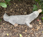 Platypus Statue Ornament Animal Concrete Cement Garden Australian Made