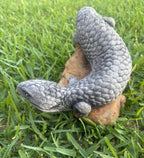 Concrete Shingleback Lizard Garden Statue – Realistic Australian Bobtail Outdoor