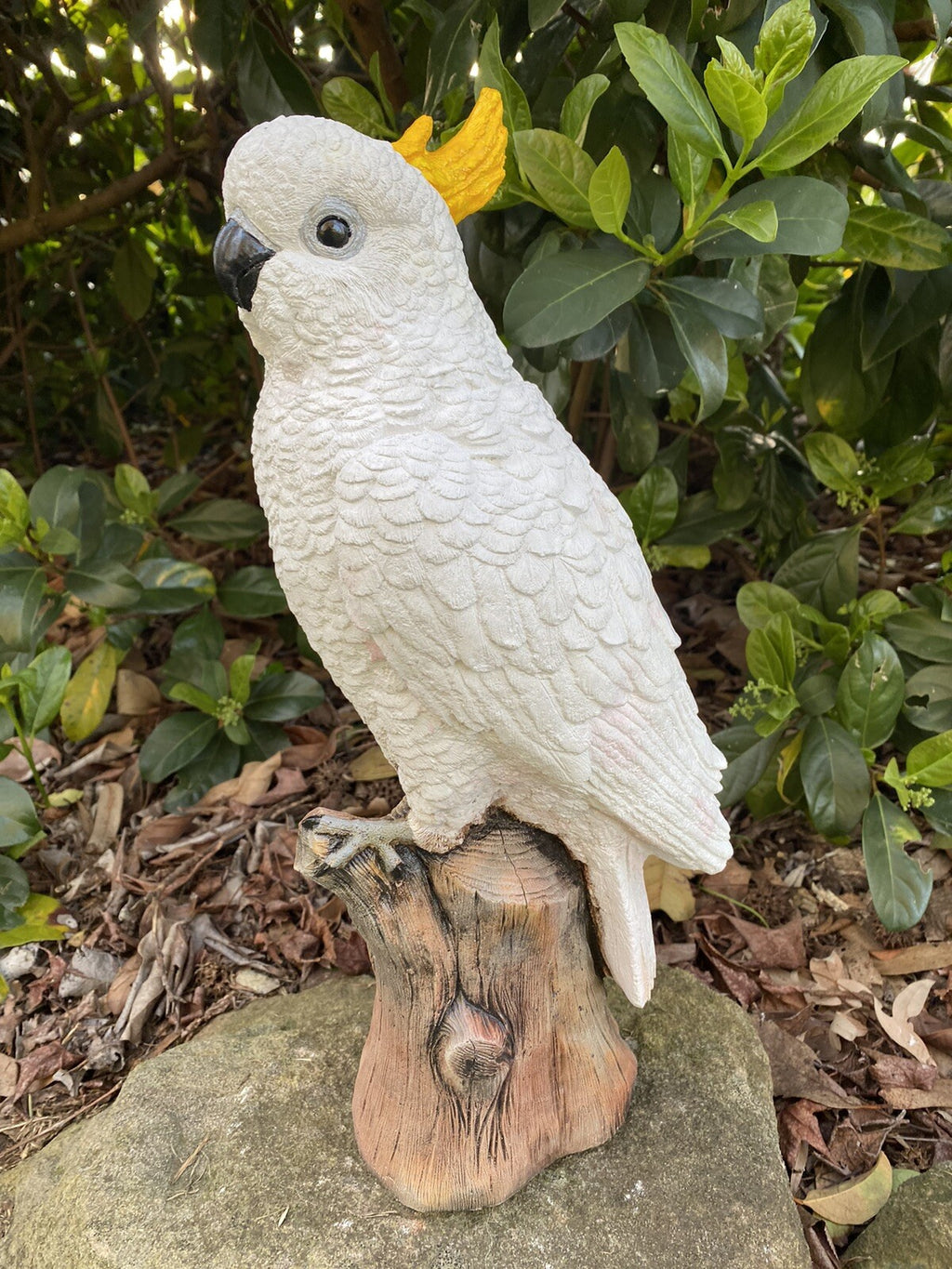 Sulfa Crested Cockatoo Garden Statue Ornament Animal Concrete  Australian Made