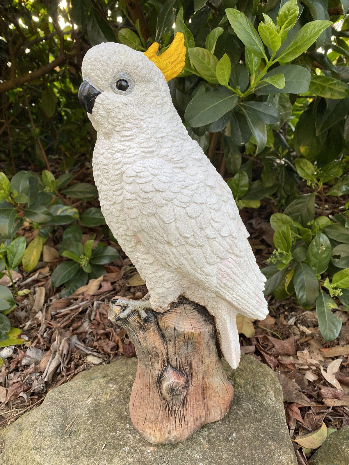 Sulfa Crested Cockatoo Garden Statue Ornament Animal Concrete  Australian Made