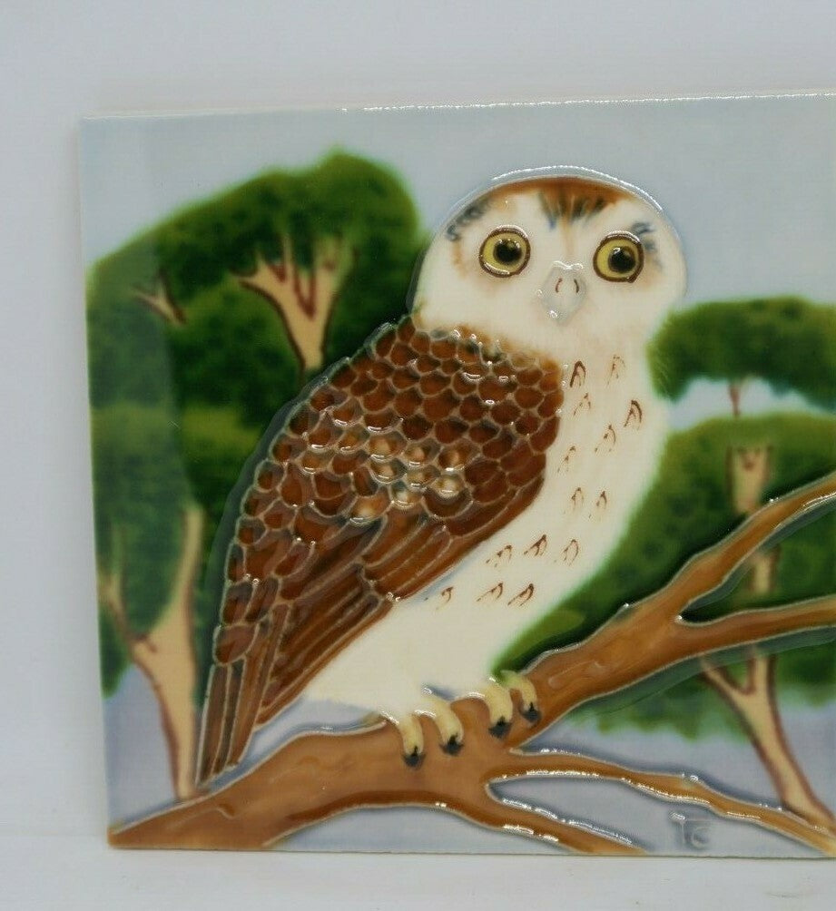 2 x Barn Owl Birds tile wall art hanger indoor outdoor Home Decor Square