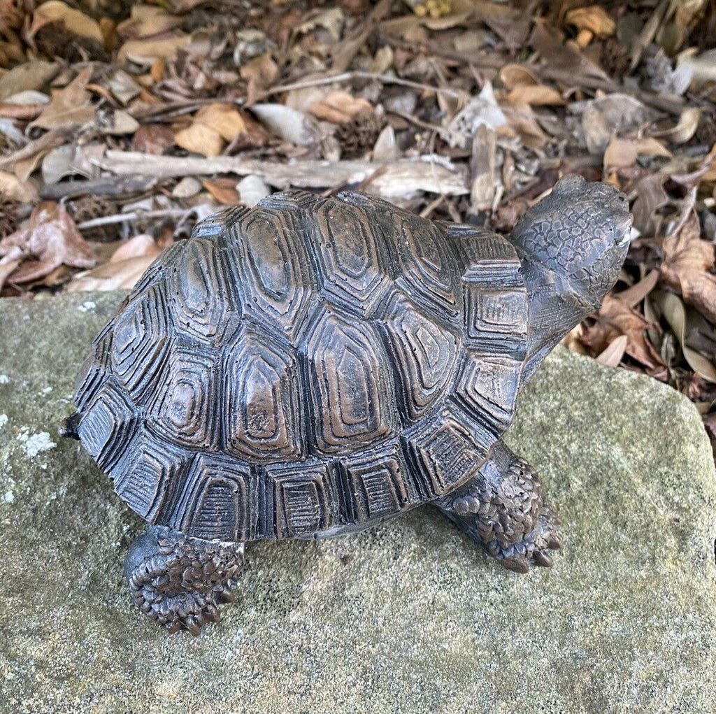 Turtle Tortoise Animal Concrete Garden Statue Ornament Australian Made 20cm