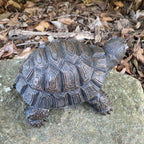 Turtle Tortoise Animal Concrete Garden Statue Ornament Australian Made 20cm