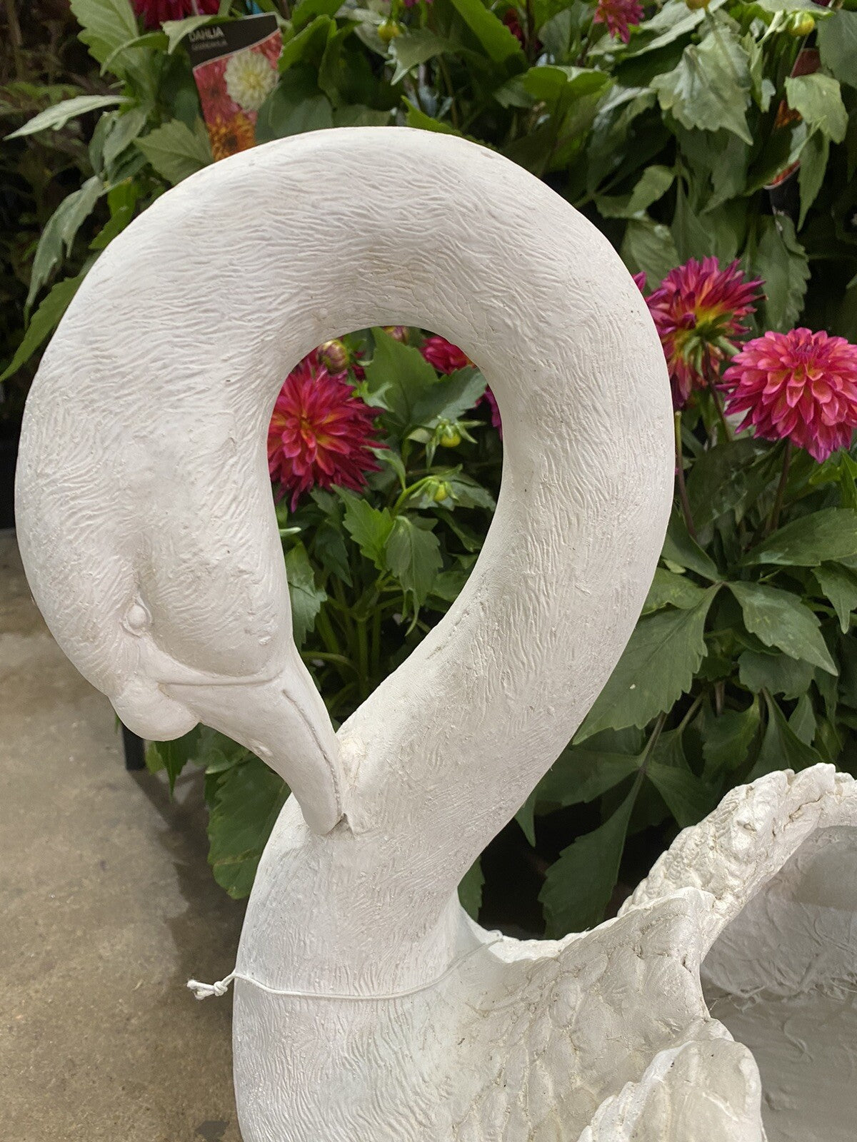 Swan Planter Pot Plant Garden Sculpture Statue White Hamptons Large White