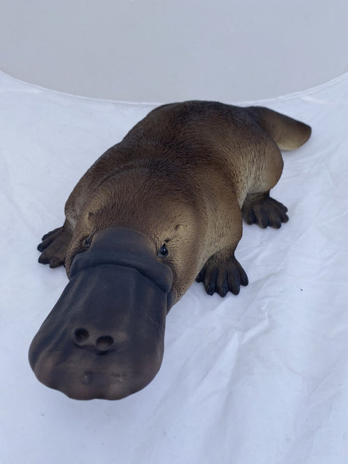 Australian Native Platypus Statue Ornament Animal  Garden Australian Made