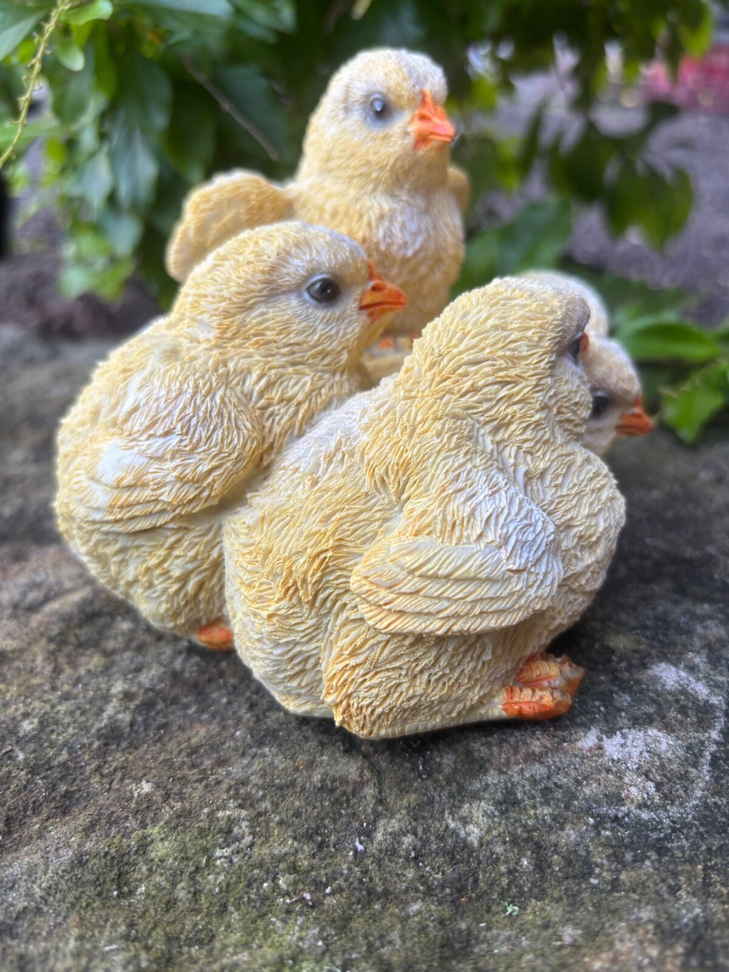 Chicken Chicks Poultry Garden Statue Ornament Figurine