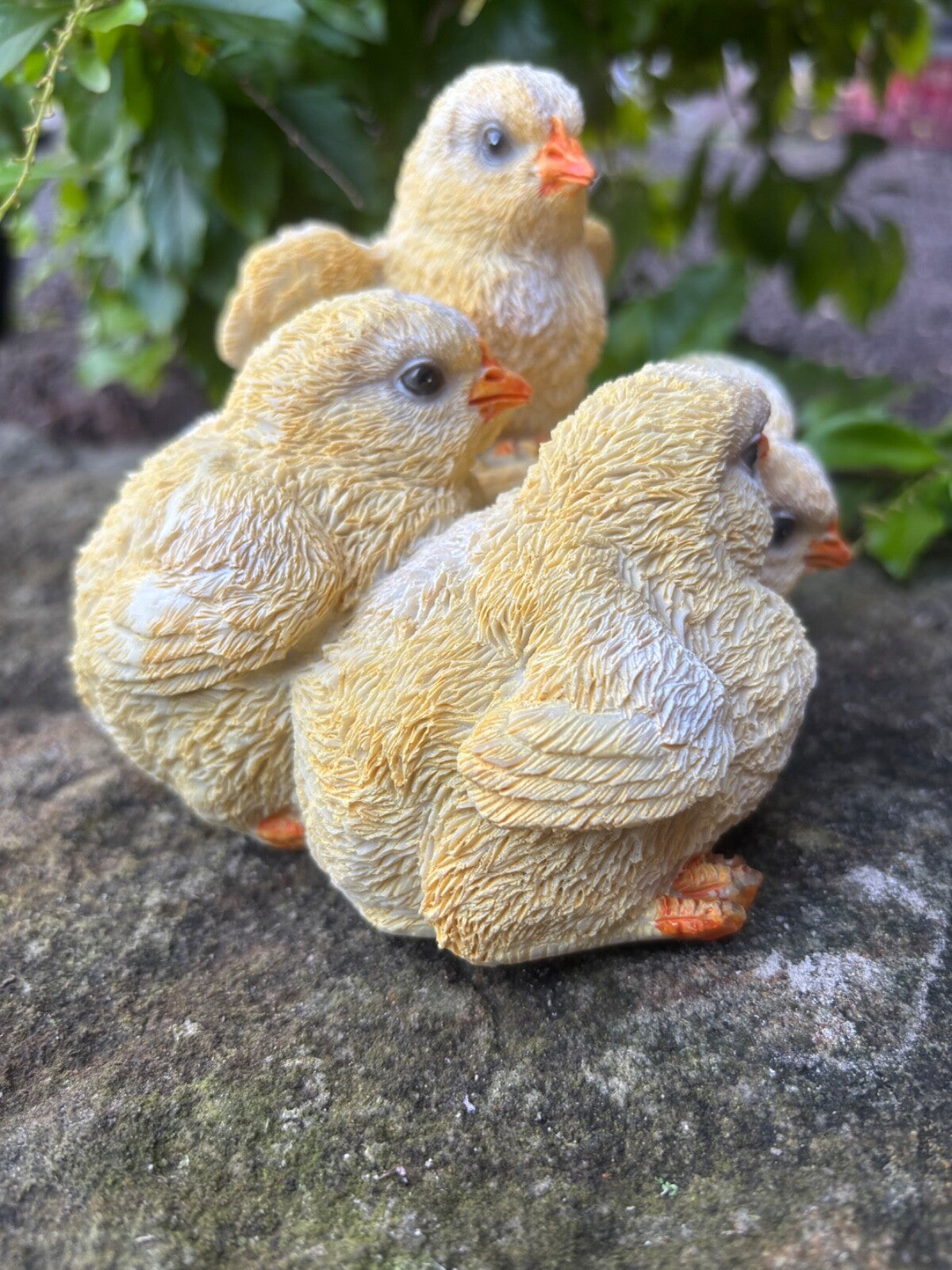 Chicken Chicks Poultry Garden Statue Ornament Figurine