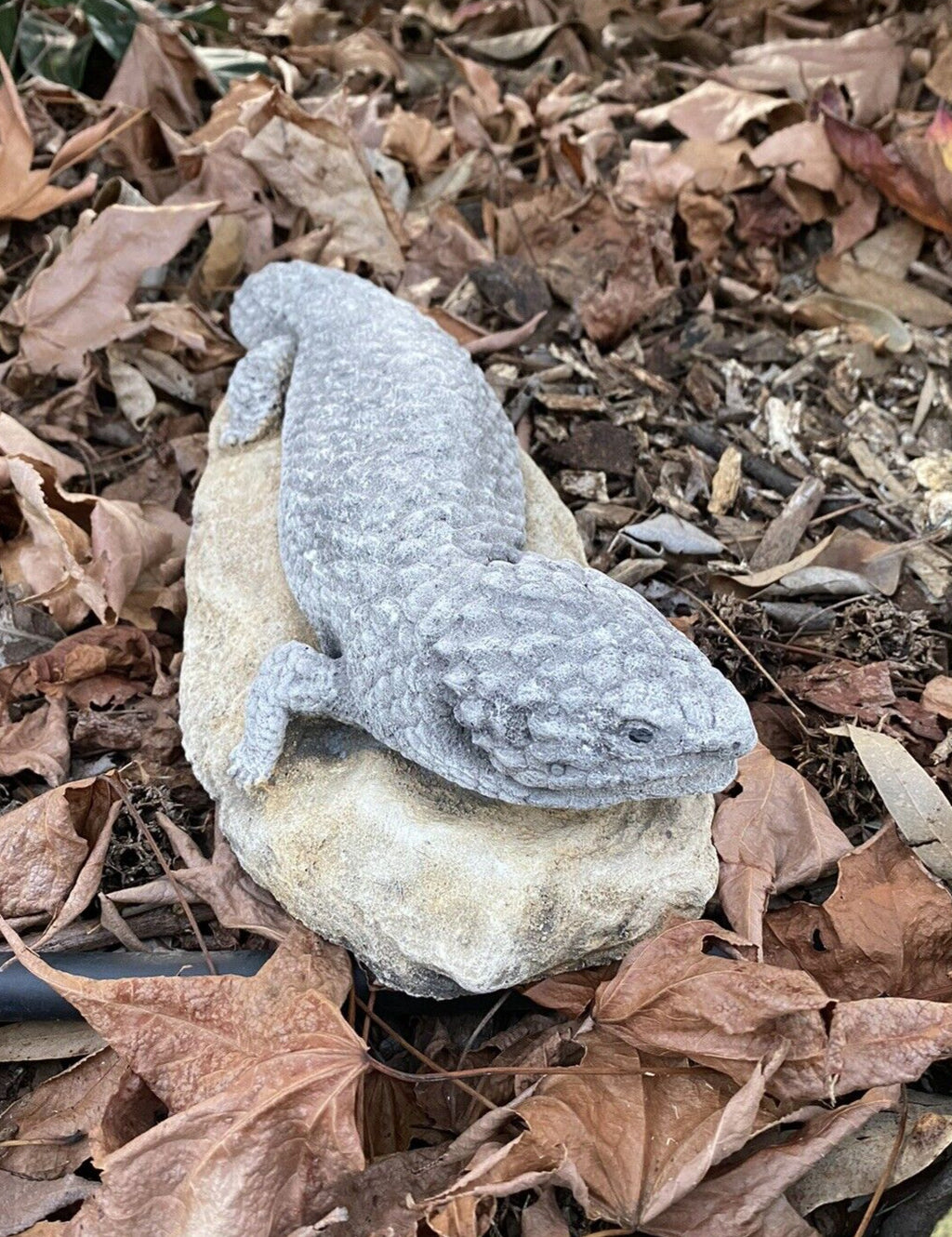 Shingleback Lizard Statue Ornament Animal Cement Concrete Garden Australian Made