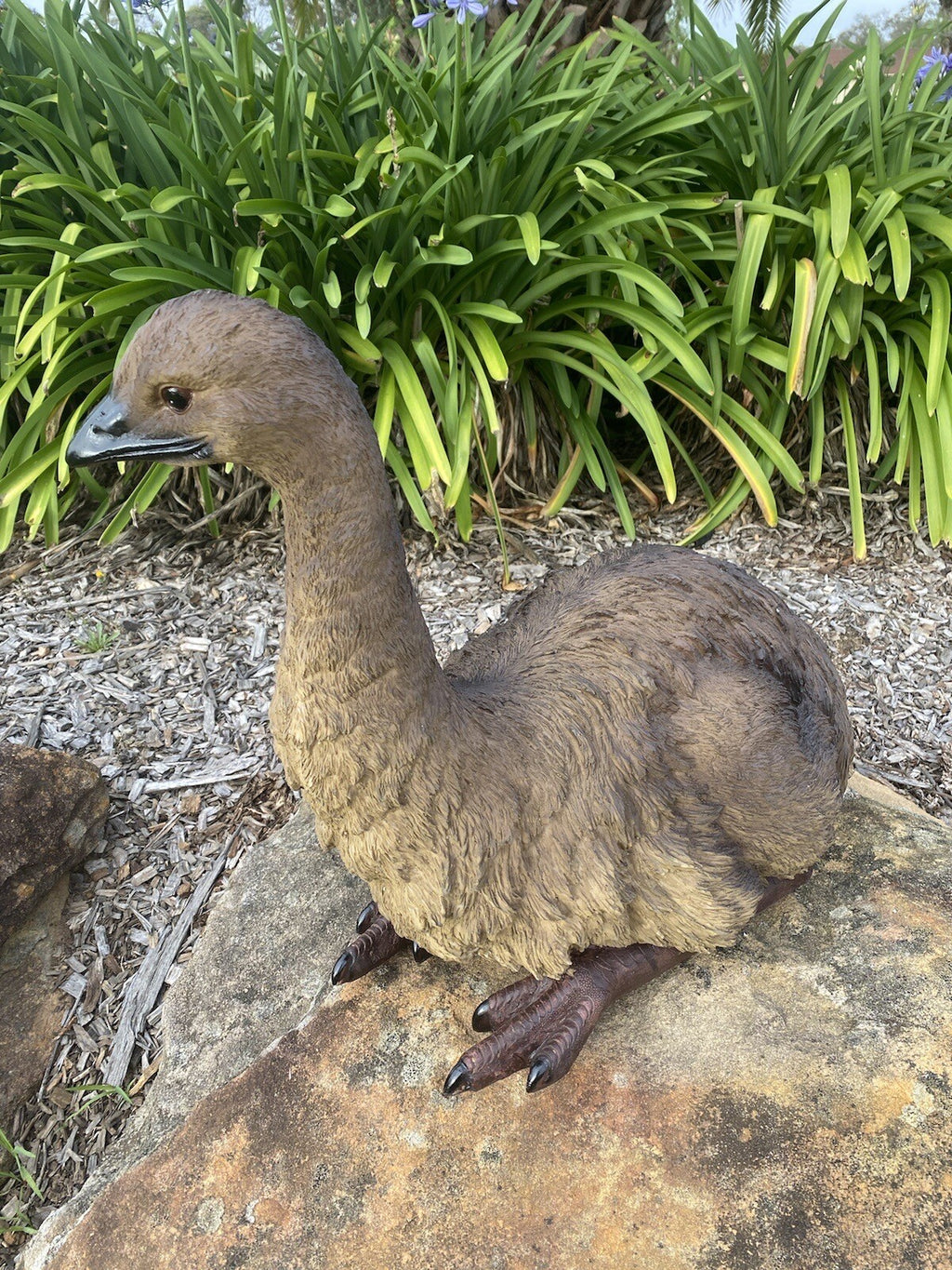 Emu Sitting Realistic Ornament Statue Garden Sculpture Décor  XLarge 65 cm