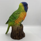 AUSTRALIAN RAINBOW LORIKEET BIRD ANIMAL GARDEN STATUE ORNAMENT  MONEY BOX