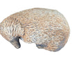 Australian Echidna Animal Concrete Cement Garden Statue Australian Made