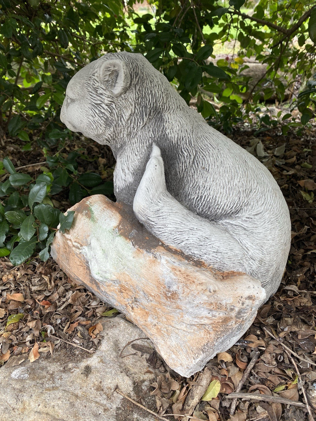 AUSTRALIAN SCRATCHING WOMBAT ANIMAL CONCRETE GARDEN STATUE ORNAMENT FIGURINE