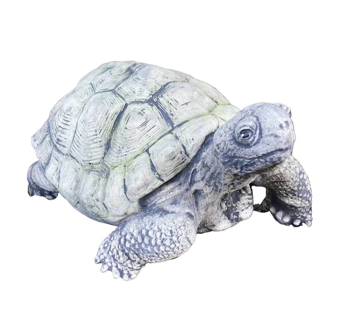 Turtle Tortoise Animal Concrete Cement Garden Statue Ornament Australian Made