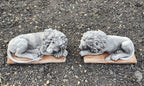 Guardian Lion Pair Statue Concrete Cement Garden Statue Australian Made