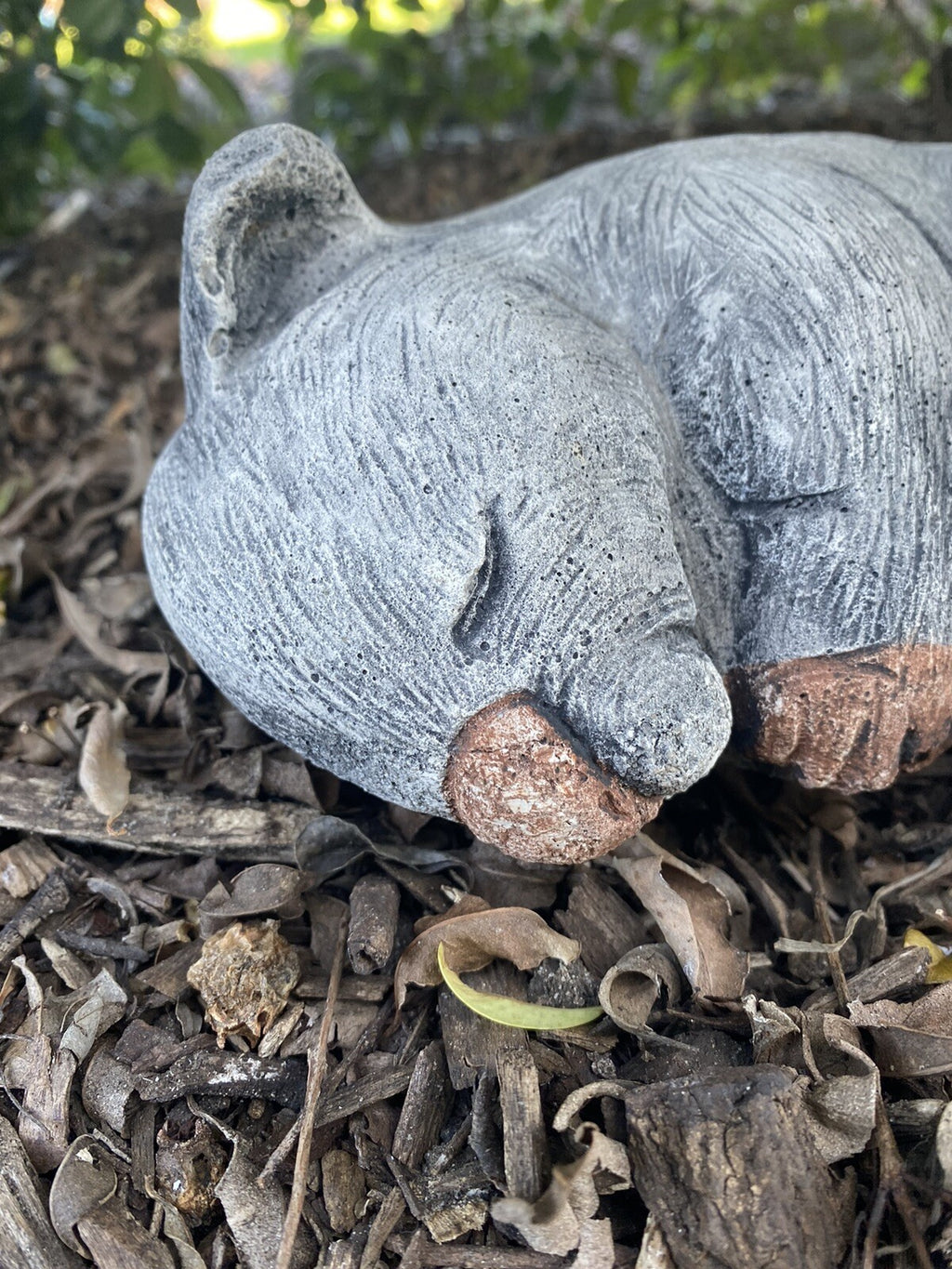 Australian Wombat Asleep Statue Ornament Animal Concrete Garden Australian Made