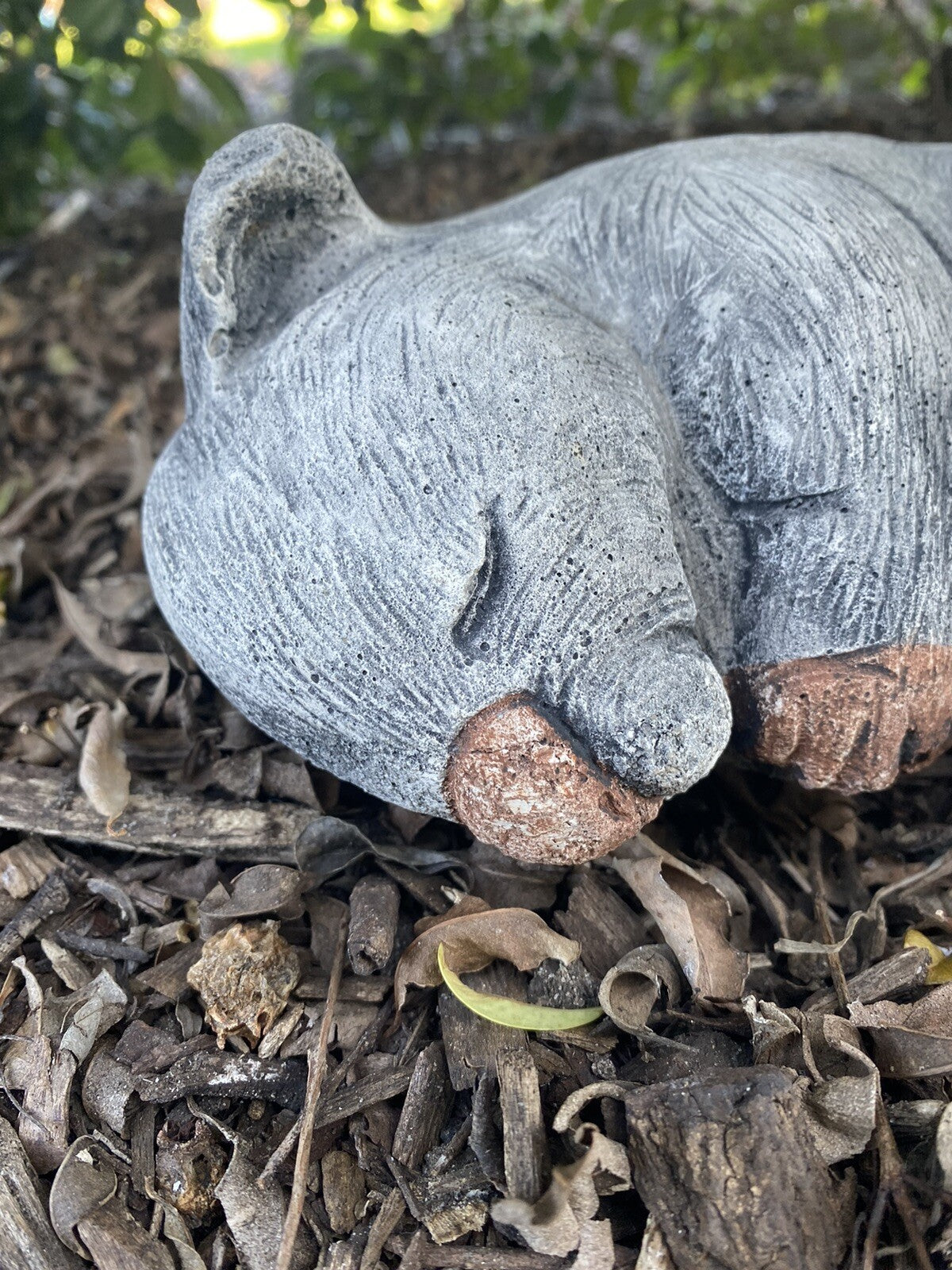 Australian Wombat Asleep Statue Ornament Animal Concrete Garden Australian Made