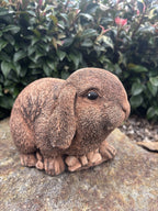 Australian Made Concrete Mini Lop Rabbit Garden Statue – Outdoor Garden Ornament