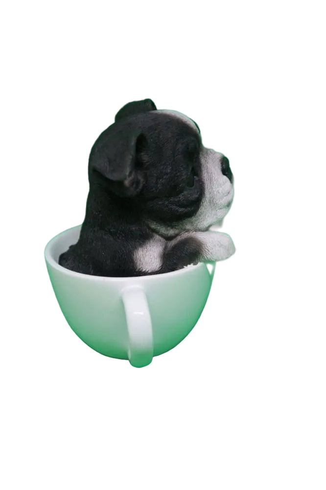 Tea cup puppies figurine Black and White Boston Terrier Dog Puppy Money box