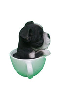 Tea cup puppies figurine Black and White Boston Terrier Dog Puppy Money box