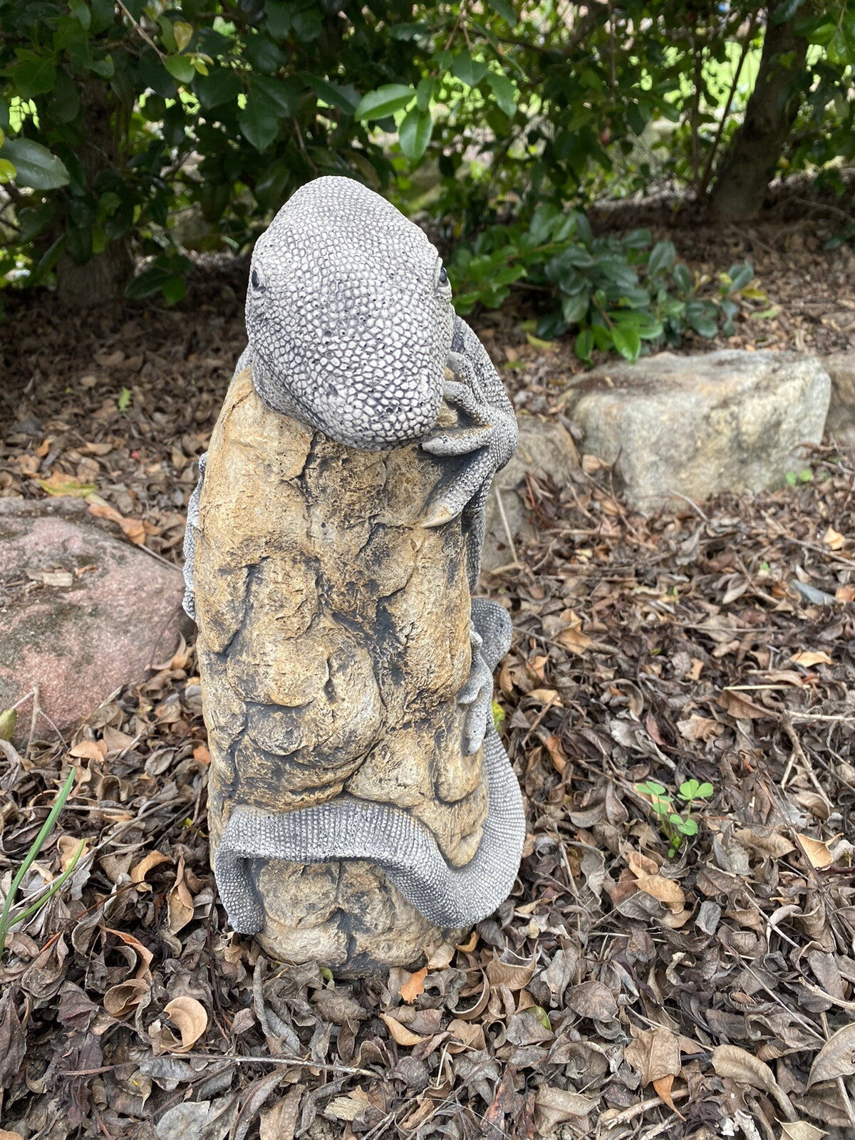 Goanna Lizard Rock Statue Ornament Animal Concrete Cement Garden Australian Made