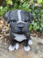 STAFFORDSHIRE -STAFFY PUPPY DOG ANIMAL GARDEN STATUE ORNAMENT FIGURINE SCULPTURE