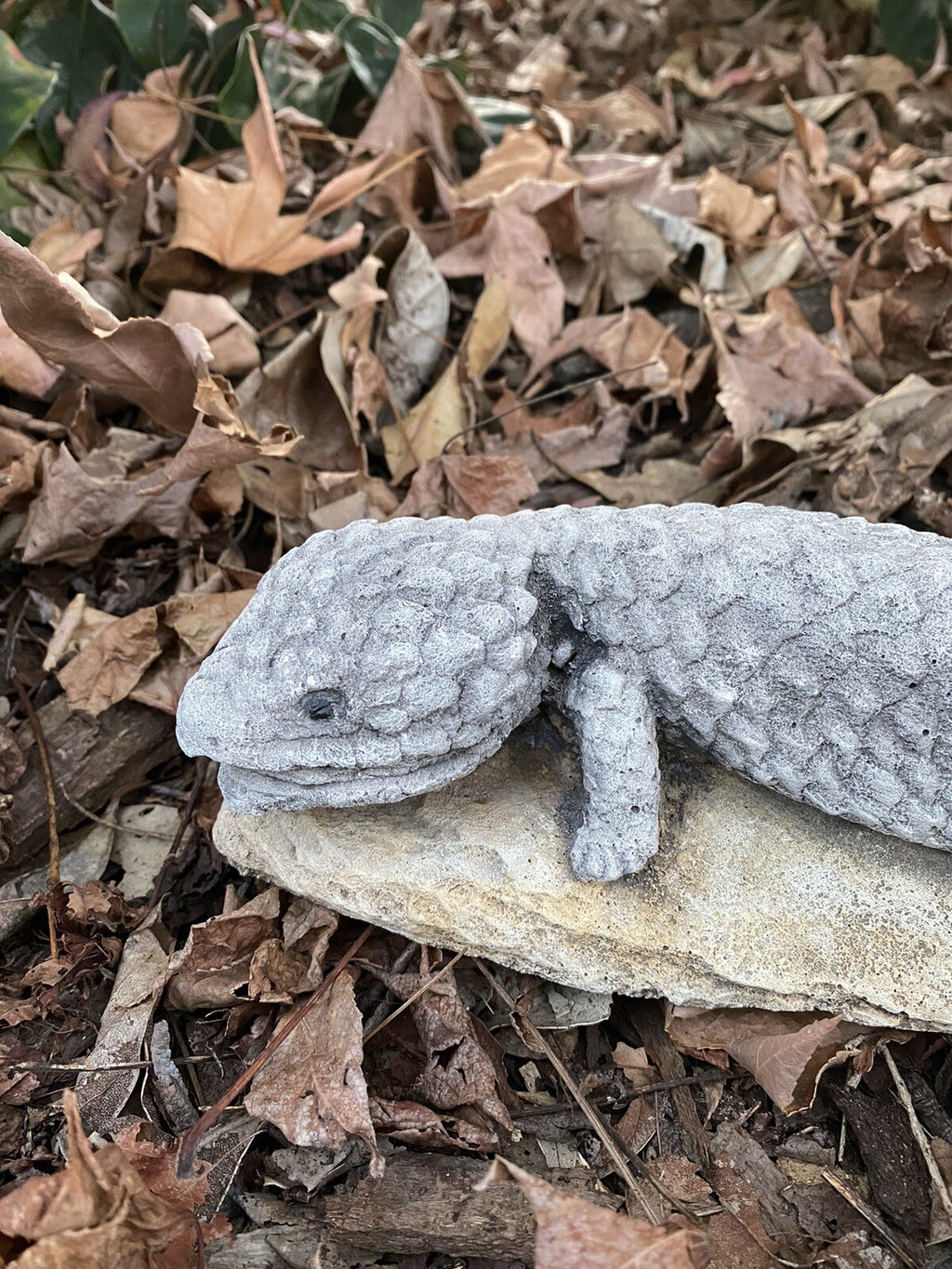 Shingleback Lizard Statue Ornament Animal Cement Concrete Garden Australian Made