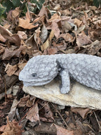 Shingleback Lizard Statue Ornament Animal Cement Concrete Garden Australian Made