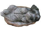 MINI SCHNAUZER IN BASKET PUPPY DOG ANIMAL STATUE ORNAMENT FIGURINE MONEYBOX