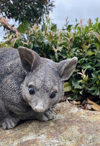 Australian Possum Concrete Cement Garden Statue Ornament Sculpture Home décor