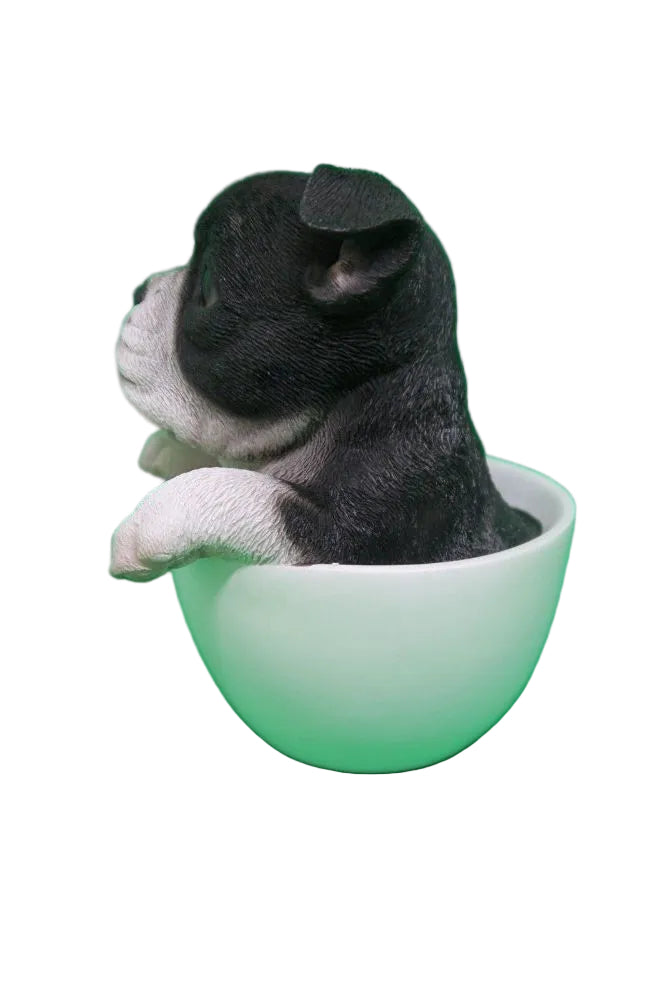 Tea cup puppies figurine Black and White Boston Terrier Dog Puppy Money box