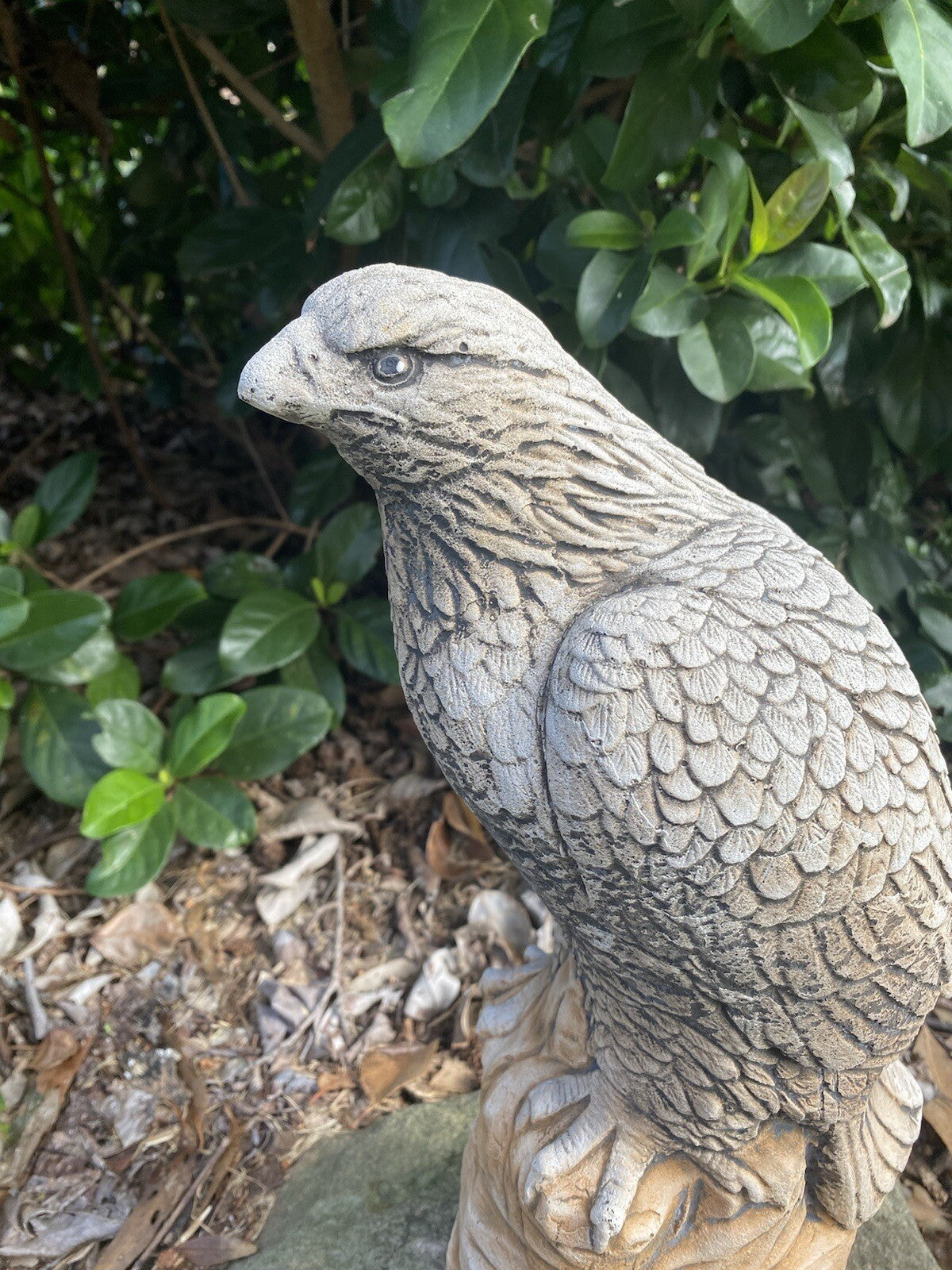 Eagle Bird Statue Ornament Animal Concrete Garden Australian Made