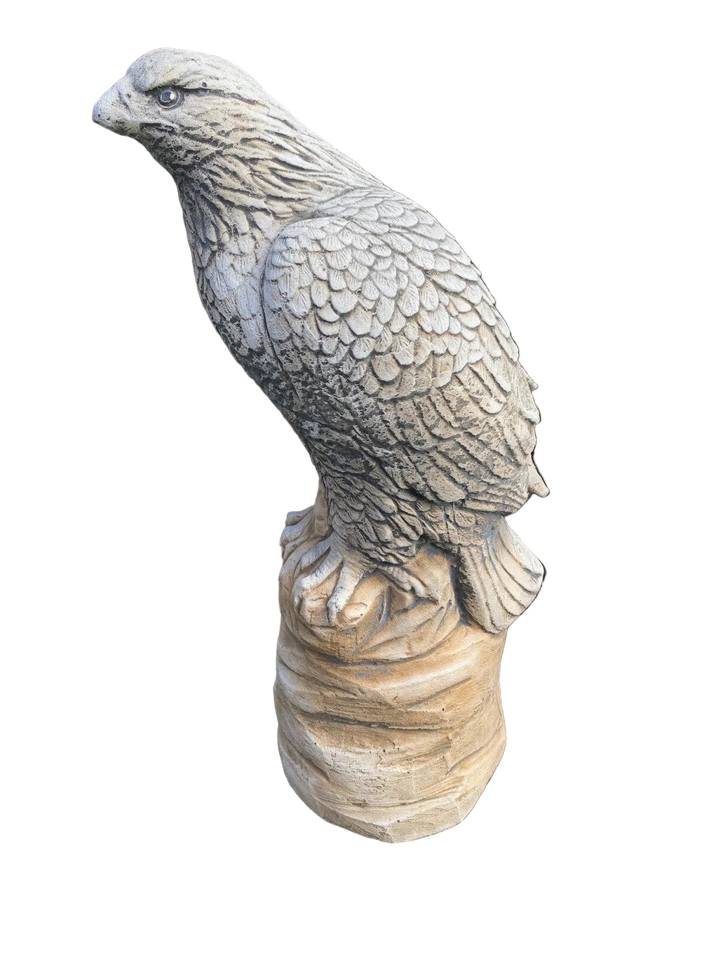 Eagle Bird Statue Ornament Animal Concrete Garden Australian Made
