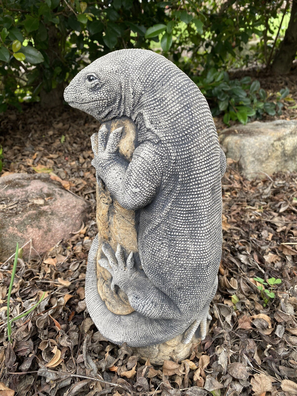 Goanna Lizard Rock Statue Ornament Animal Concrete Cement Garden Australian Made