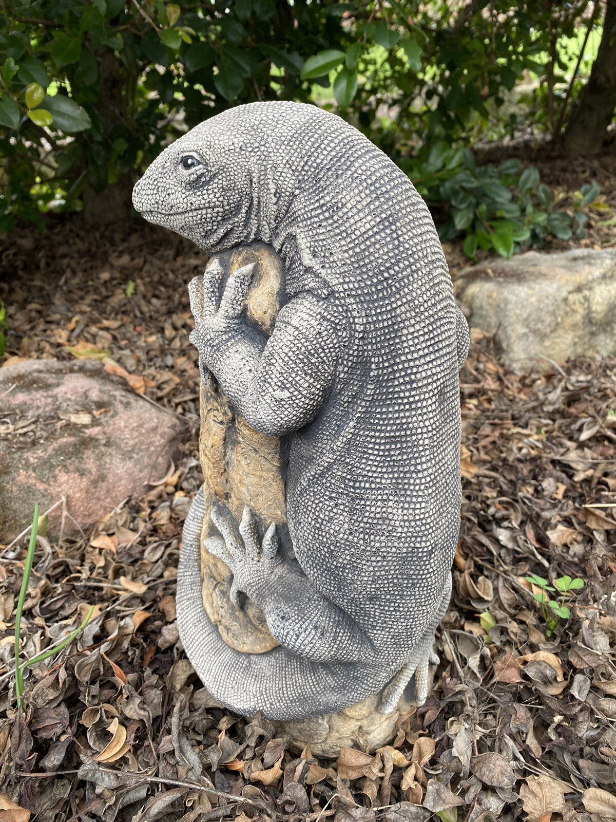 Goanna Lizard Rock Statue Ornament Animal Concrete Cement Garden Australian Made