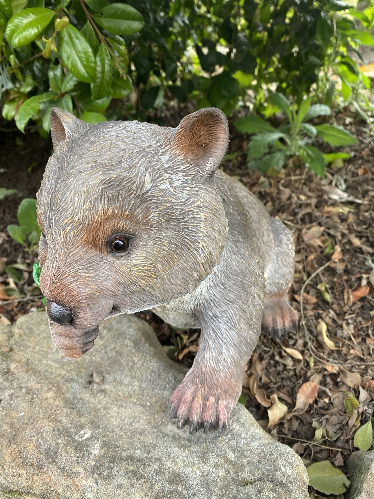 AUSTRALIAN WOMBAT EATING A LEAF GARDEN STATUE